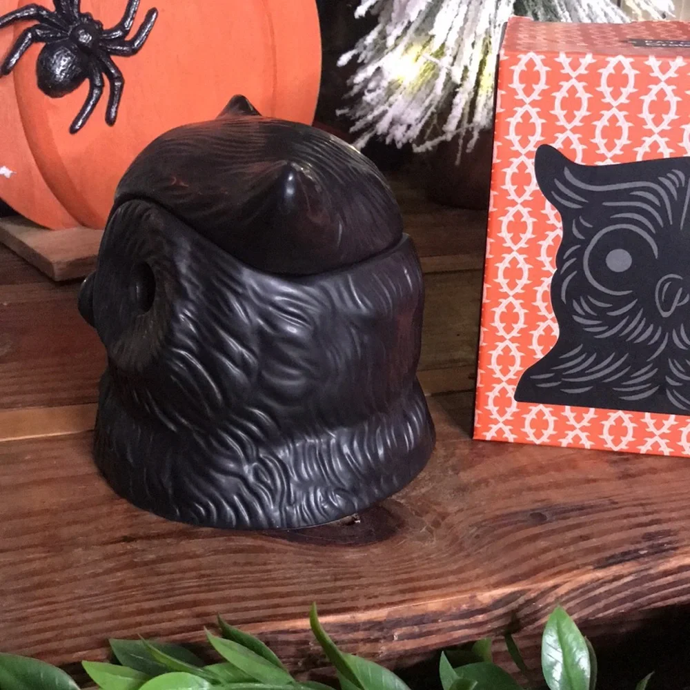 Crate&Barrel X PATCH NYC Collaboration Whimsical Black Owl Incense Burner 🦉